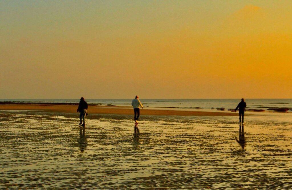  naturopatía científicaPuesta de sol en la playa representando bienestar y serenidad